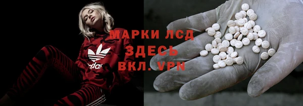 СК Горнозаводск