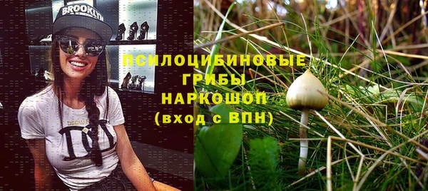 мет Горно-Алтайск